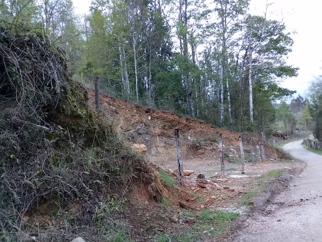 Vendo 21 Hectareas en Nueva Toltén, sector Boroa Norte - Imagen 5