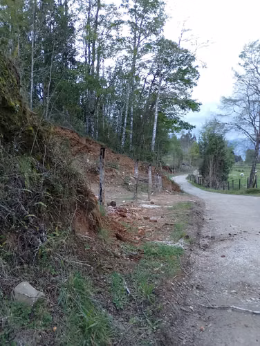 Vendo 21 Hectareas en Nueva Toltén, sector Boroa Norte - Imagen 6