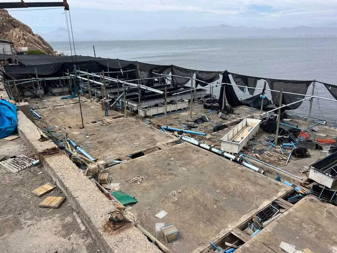 Vendo terreno industrial a orilla del mar (162033)