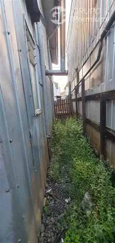 VENDO CASA, 3d, 1b, 1e. EN CARAHUE