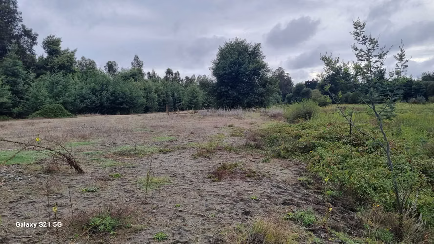 Vende Terreno orilla Ruta a Yungay (162050)