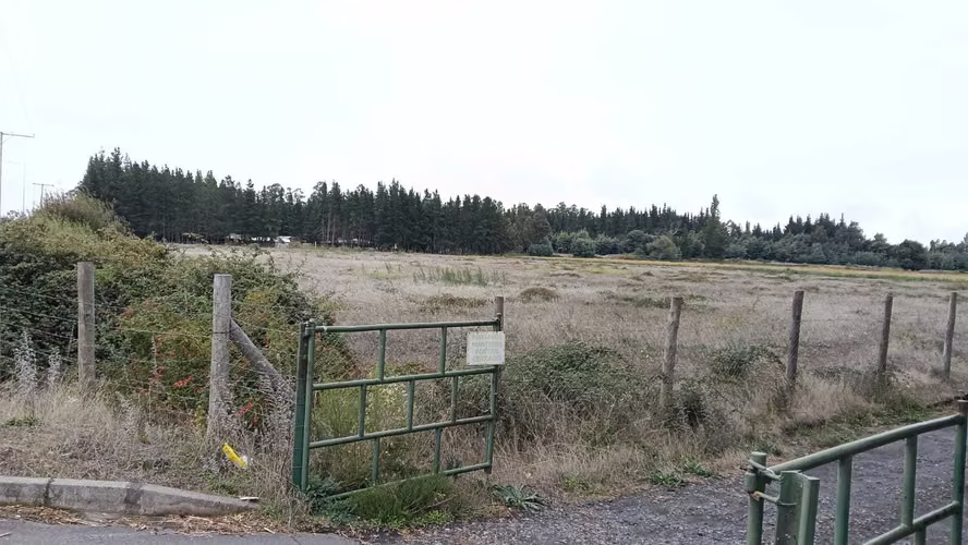 Vende Terreno orilla Ruta a Yungay (162050)