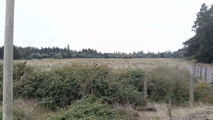Vende Terreno orilla Ruta a Yungay (162050)