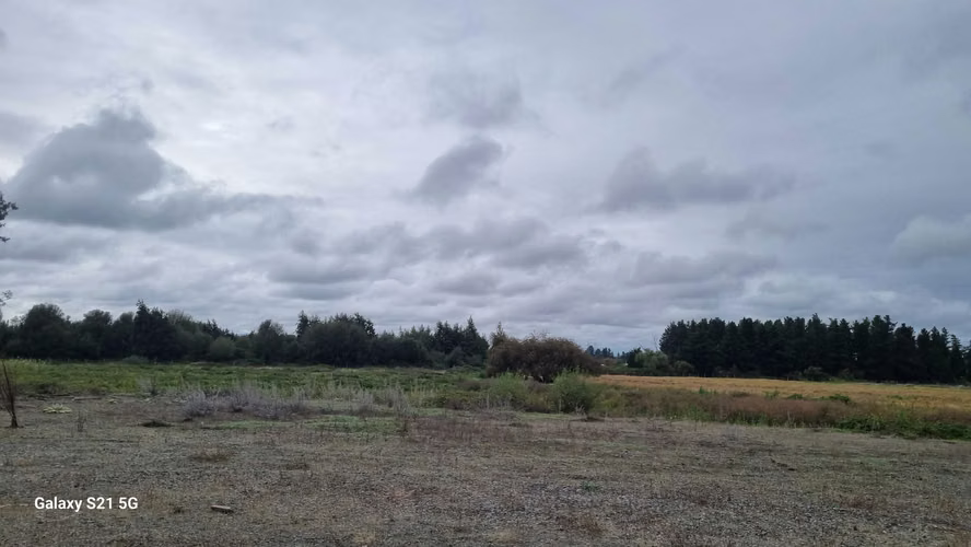 Vende Terreno orilla Ruta a Yungay (162050)