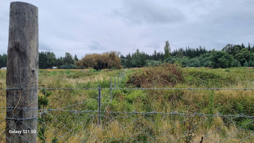 Vende Terreno orilla Ruta a Yungay (162050)