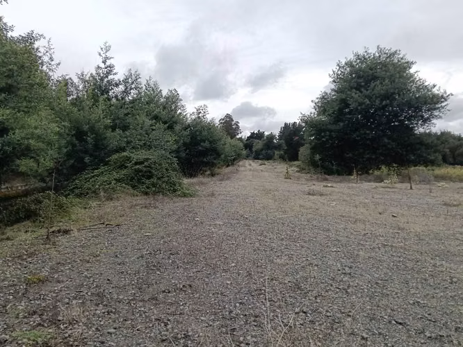Vende Terreno orilla Ruta a Yungay (162050)