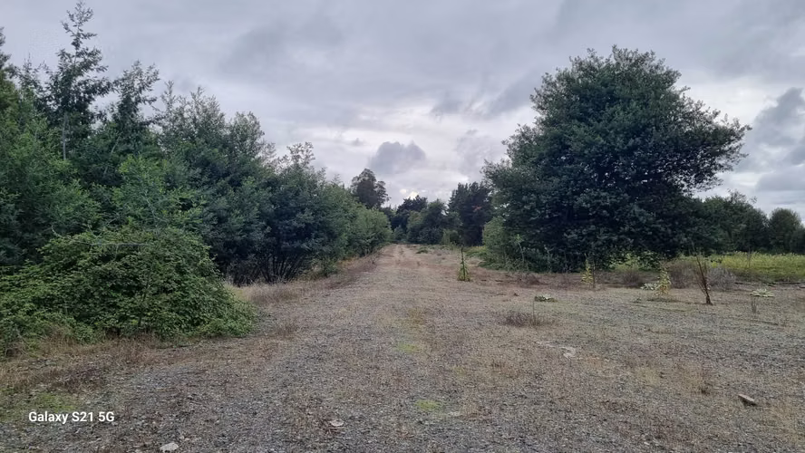 Vende Terreno orilla Ruta a Yungay (162050)