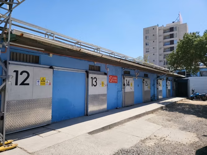 ARRIRNDO BODEGAS DE FRIO Y CONGELADO