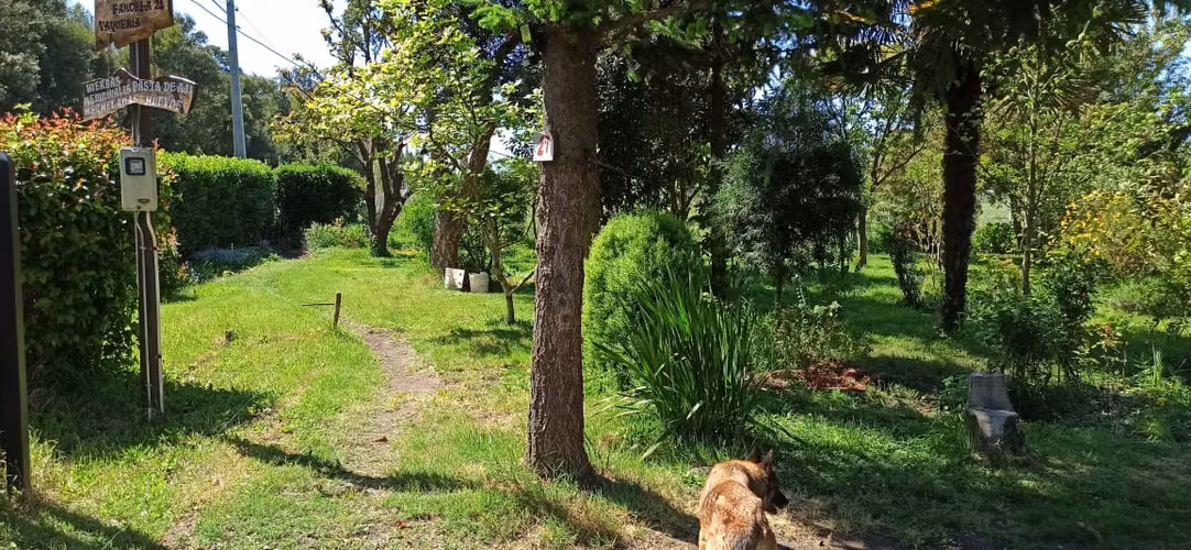 VIVE LA NATURALEZA EN ENTORNO PRIVILEGIADO - Imagen 2