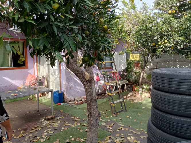 TERRENO ESTRATEGICO USO COMERCIAL O HABITACIONAL