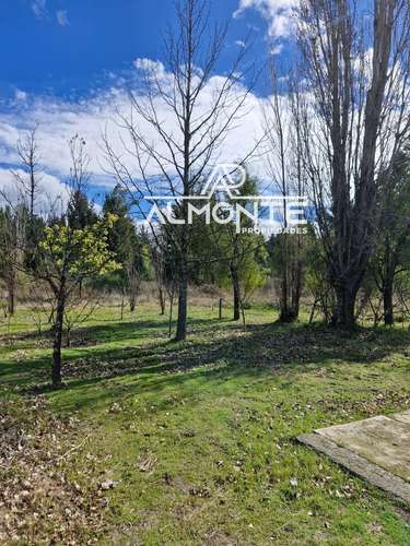 SE VENDE PARCELA 7500 MTS2 SECTOR CERRO NEGRO QUILLÓN - Imagen 15