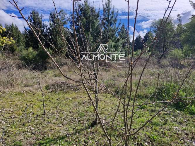 SE VENDE PARCELA 7500 MTS2 SECTOR CERRO NEGRO QUILLÓN - Imagen 7