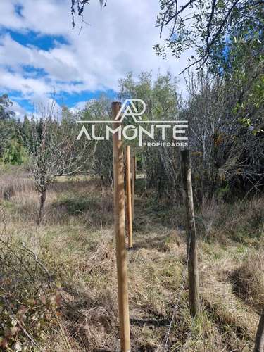 SE VENDE PARCELA 7500 MTS2 SECTOR CERRO NEGRO QUILLÓN - Imagen 9