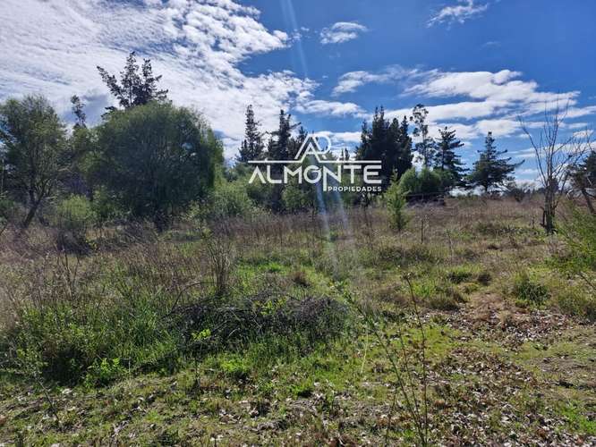 SE VENDE PARCELA 7500 MTS2 SECTOR CERRO NEGRO QUILLÓN - Imagen 5