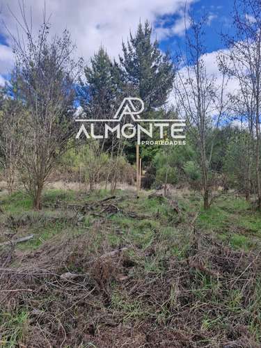 SE VENDE PARCELA 7500 MTS2 SECTOR CERRO NEGRO QUILLÓN - Imagen 19