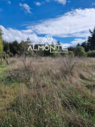 SE VENDE PARCELA 7500 MTS2 SECTOR CERRO NEGRO QUILLÓN - Imagen 25