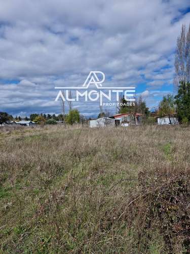 SE VENDE PARCELA 7500 MTS2 SECTOR CERRO NEGRO QUILLÓN - Imagen 4