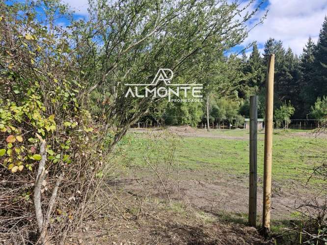 SE VENDE PARCELA 7500 MTS2 SECTOR CERRO NEGRO QUILLÓN - Imagen 11