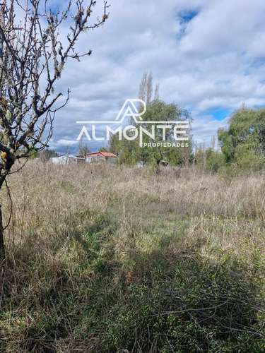 SE VENDE PARCELA 7500 MTS2 SECTOR CERRO NEGRO QUILLÓN - Imagen 17