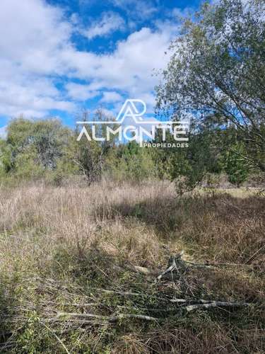 SE VENDE PARCELA 7500 MTS2 SECTOR CERRO NEGRO QUILLÓN - Imagen 18