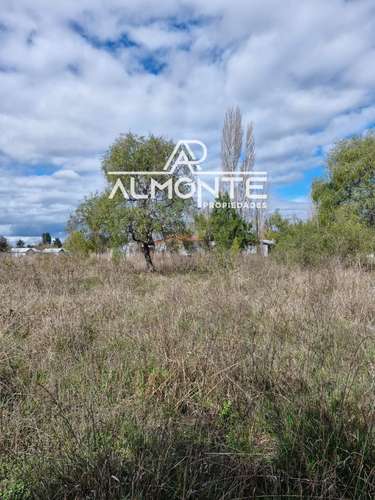 SE VENDE PARCELA 7500 MTS2 SECTOR CERRO NEGRO QUILLÓN - Imagen 23