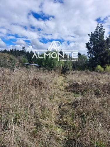 SE VENDE PARCELA 7500 MTS2 SECTOR CERRO NEGRO QUILLÓN - Imagen 16