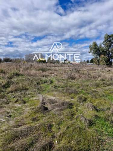 SE VENDE PARCELA 7500 MTS2 SECTOR CERRO NEGRO QUILLÓN - Imagen 26