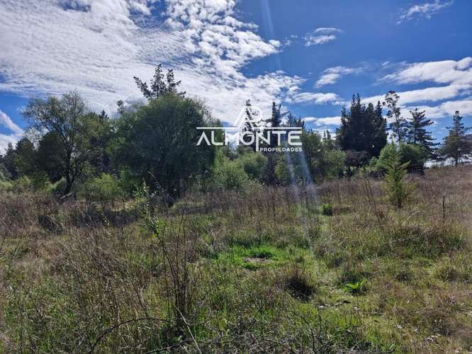 SE VENDE PARCELA 7500 MTS2 SECTOR CERRO NEGRO QUILLÓN - Imagen 6