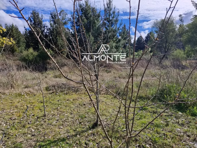 SE VENDE PARCELA 7500 MTS2 SECTOR CERRO NEGRO QUILLÓN