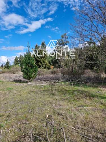 SE VENDE PARCELA 7500 MTS2 SECTOR CERRO NEGRO QUILLÓN - Imagen 24