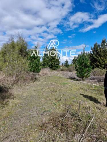 SE VENDE PARCELA 7500 MTS2 SECTOR CERRO NEGRO QUILLÓN - Imagen 22