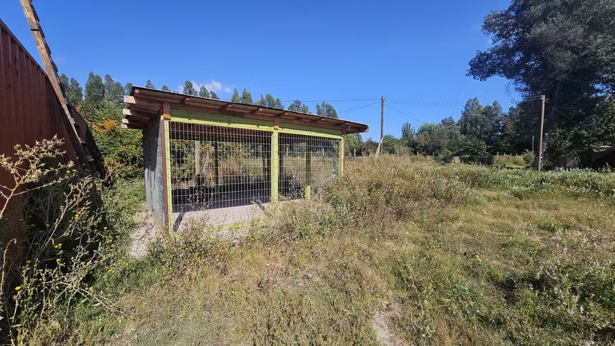 VENTA PARCELA TERRENO 25000MTS PAINE
