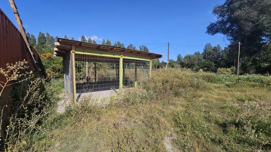 VENTA PARCELA TERRENO 25000MTS PAINE