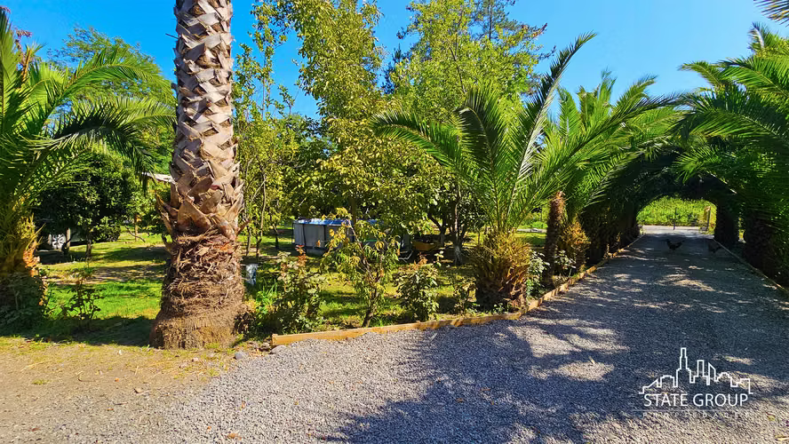 TERRENO PARCELA PAINE 2,5 HA 25,000M2 URBANIZADO CON 2 CASAS