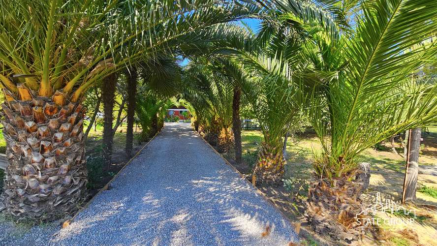 TERRENO PARCELA PAINE 2,5 HA 25,000M2 URBANIZADO CON 2 CASAS