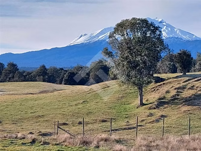 GRAN PROYECTO DE PARCELAS EN PUERTO VARAS