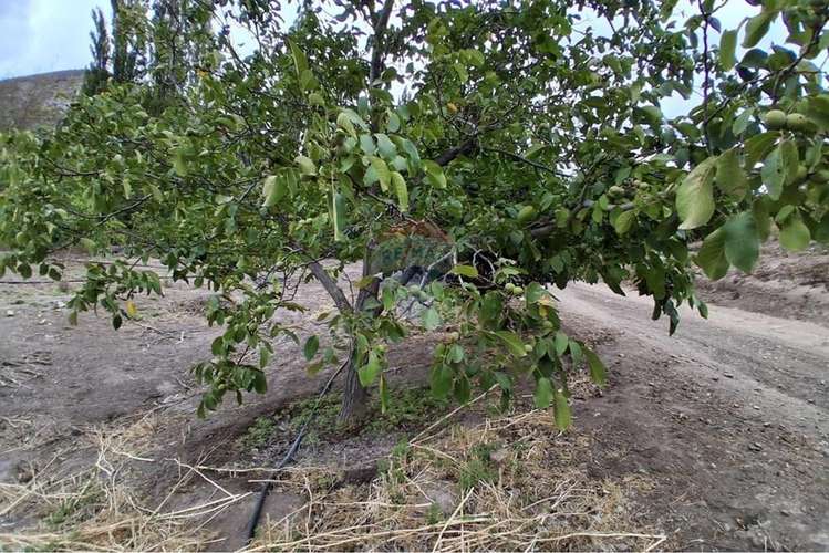 Complejo turístico y agrícola de 28 hectáreas
