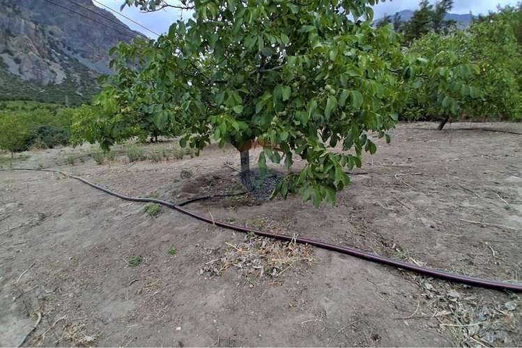 Complejo turístico y agrícola de 28 hectáreas