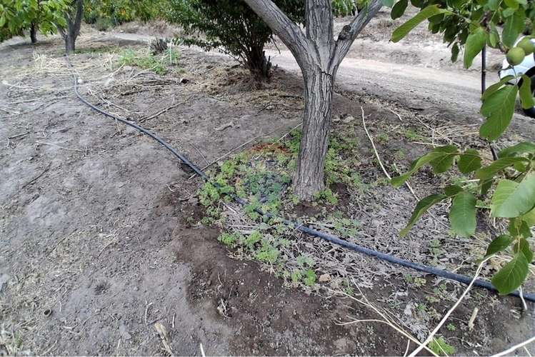 Complejo turístico y agrícola de 28 hectáreas