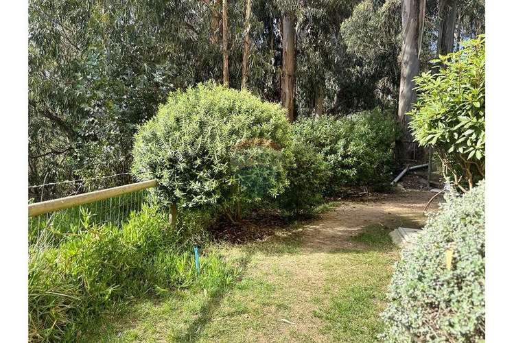 Jardin privado con vista privilegiada al mar