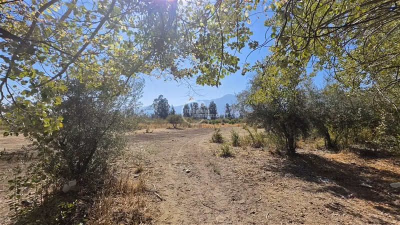 Pirque casa con parque y campo agrícola diversos usos FM