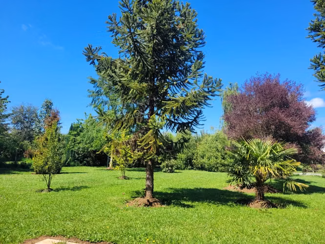 PARCELA DE AGRADO EN CONDOMINIO CERRADO (162309)