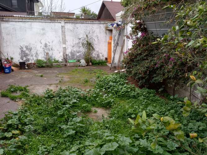 VENTA DE CASA, BUEN PATIO, BARRIO TRANQUILO Y FAMILIAR - Imagen 14