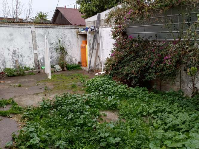 VENTA DE CASA, BUEN PATIO, BARRIO TRANQUILO Y FAMILIAR - Imagen 16