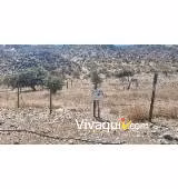 Sitio en venta en Colina