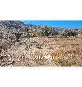 Sitio en venta en Colina