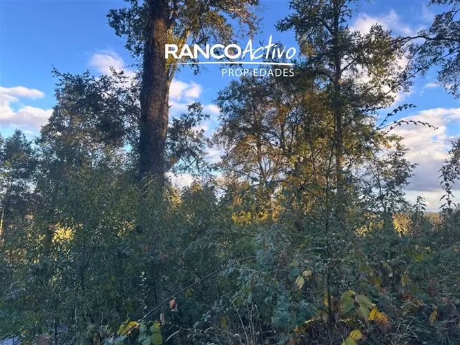 En venta hermosa parcela en Futrono con vista y bosque