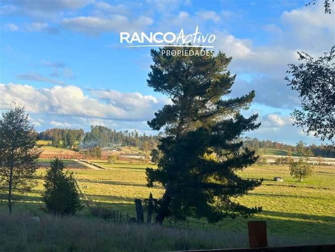 En venta hermosa parcela en Futrono con vista y bosque