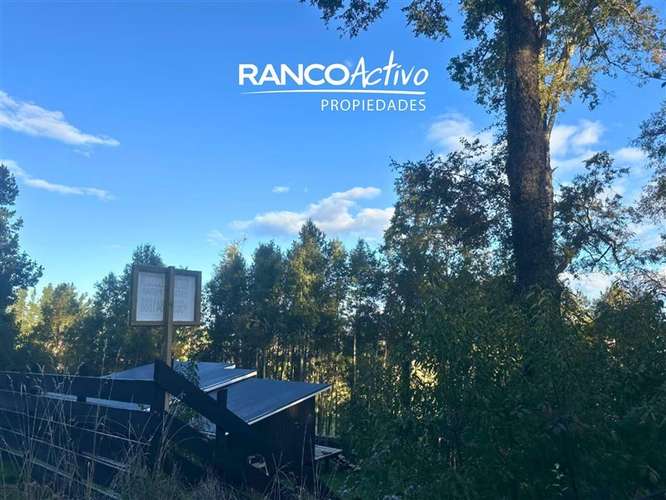 En venta hermosa parcela en Futrono con vista y bosque