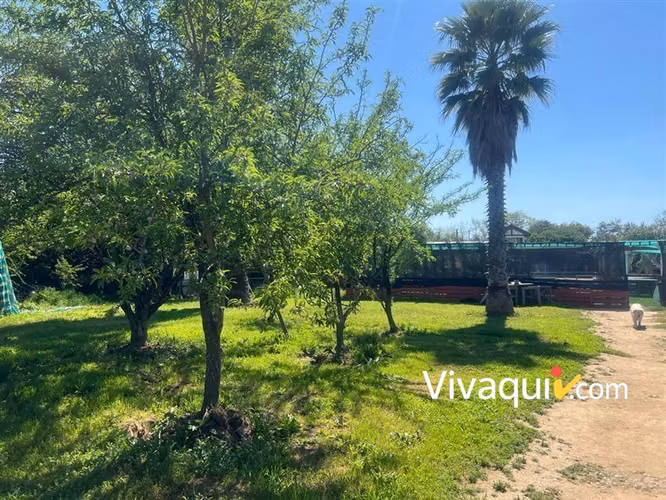 Parcela en venta en Paine - Imagen 9